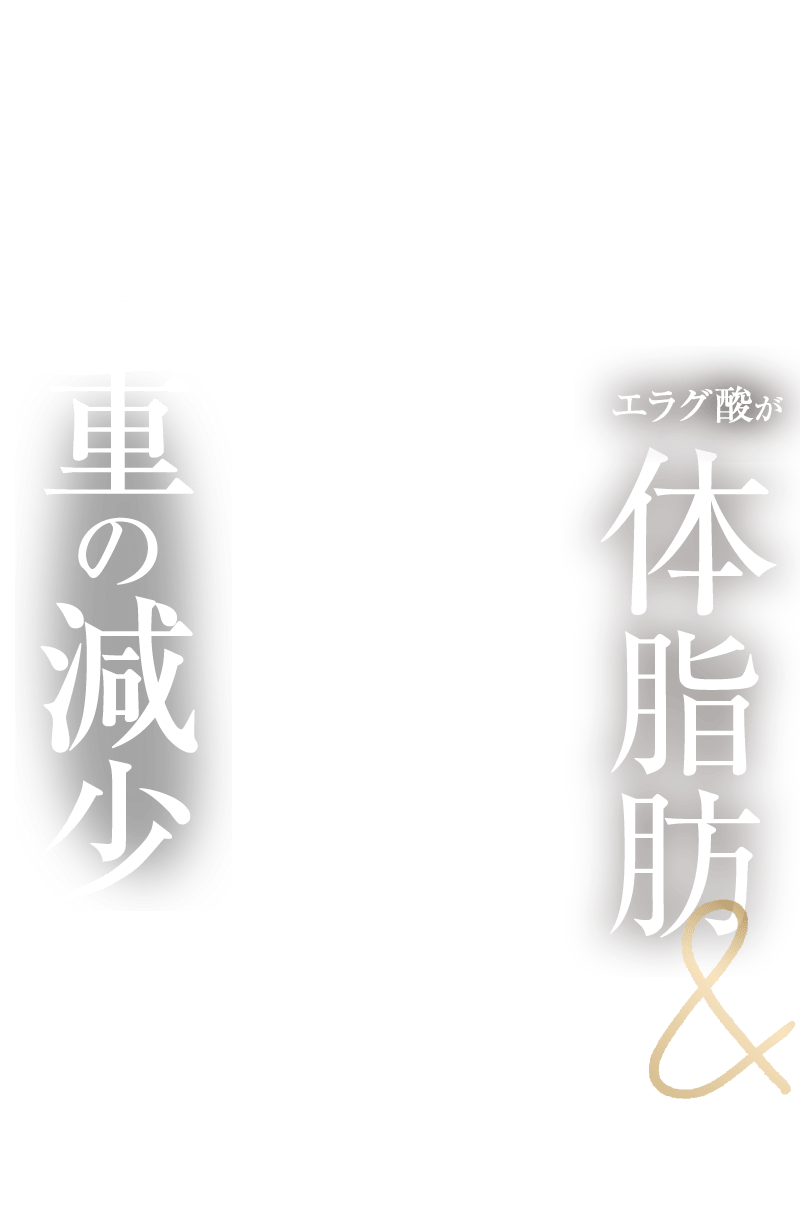 エラグ酸が体脂肪&体重の減少を